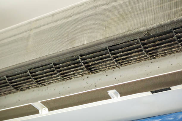 Best Air Duct Cleaning Near Me  in Haworth, NJ